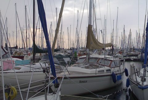 Tongji in der Ancora Marina