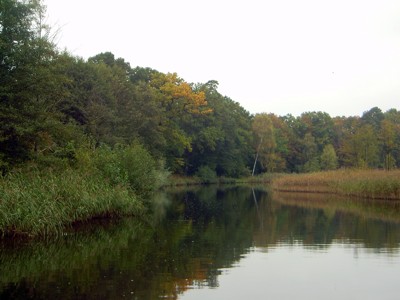 Havel Havel