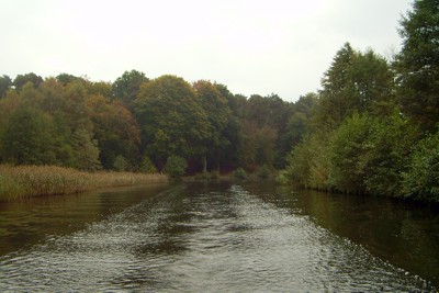 Havel Havel