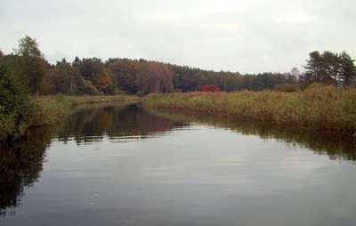 Havel Havel