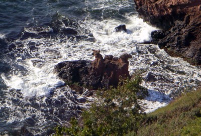 Løvehovederne