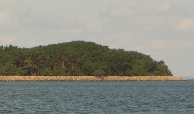 Steinmole Ruden