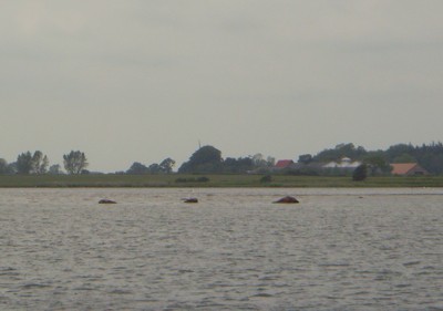 Guldborg Sund Guldborg Sund