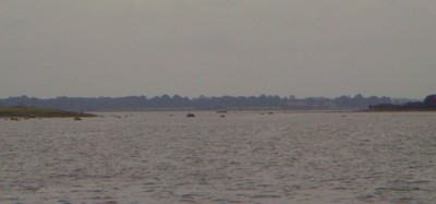 Guldborg Sund Guldborg Sund