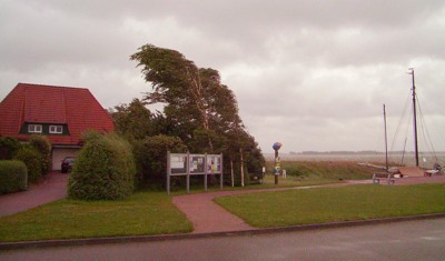 Sturm in Born Sturm in Born