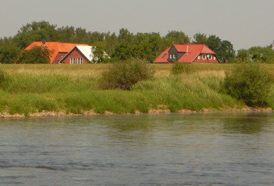 Elbe - hinterm Deich