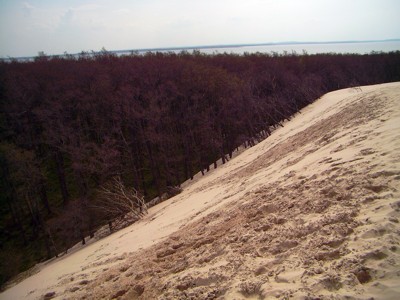 Wanderdünen