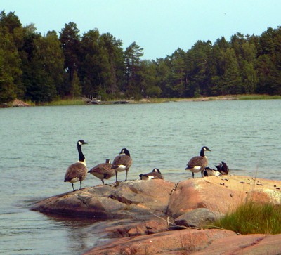 Stor-Andö Stor-Andö