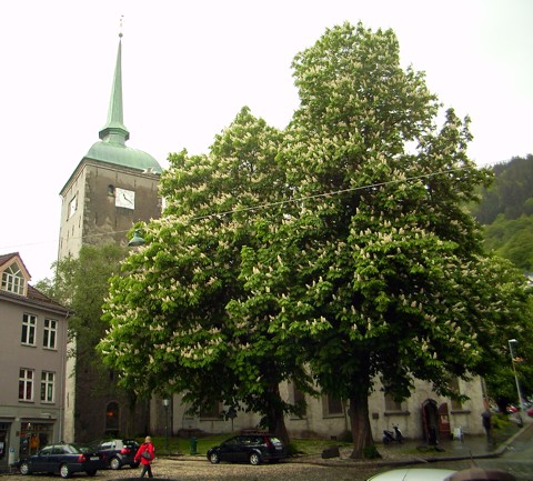Kreuzkirche Kreuzkirche
