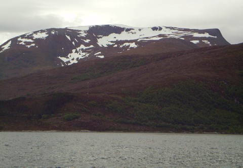 Rovdefjord
