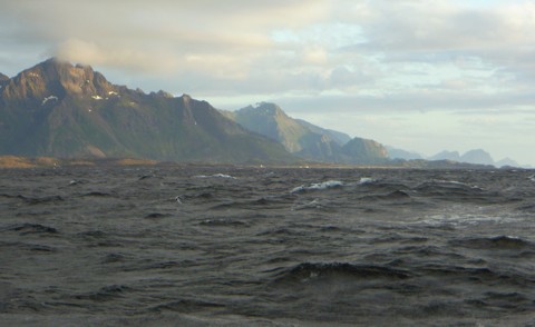 Vestfjord Vestfjord