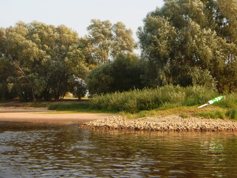 Elbe Elbe
