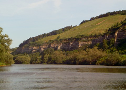 Weinhänge Weinhänge