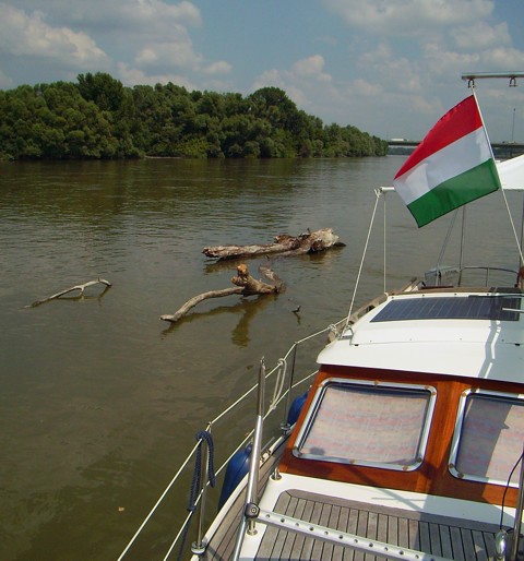 Treibholz auf der Donau Treibholz auf der Donau