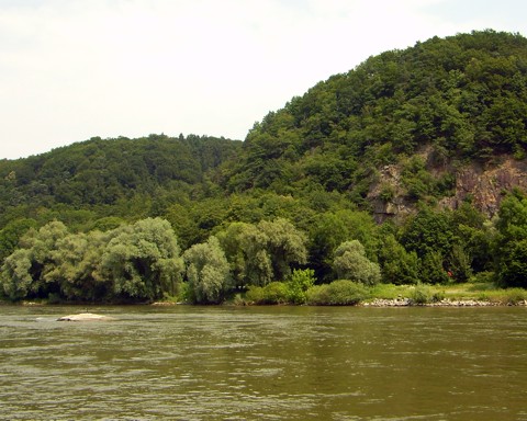 Felsen in der Donau