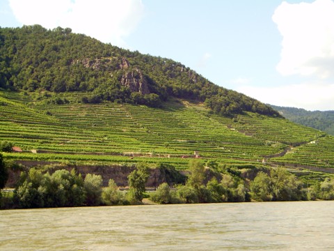 Wachau