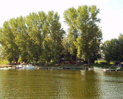 Hafen Backa-Palanka Hafen Backa-Palanka