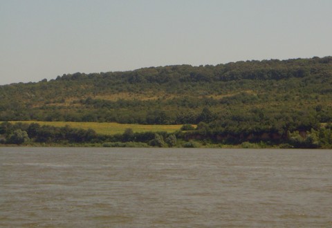 km420 km420
