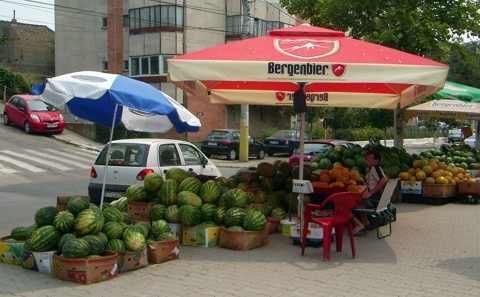 Cernavoda