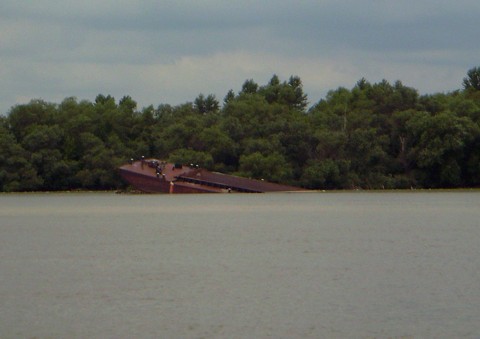 Wrack auf der Donau