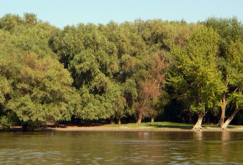 Donau - Beginn vom Delta