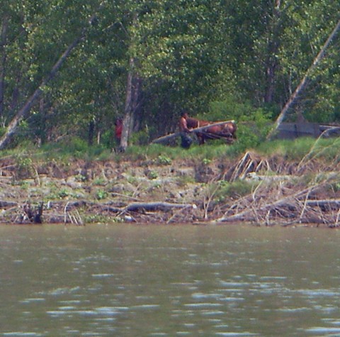 Donau Donau