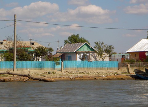 Delta Delta