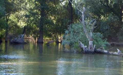 Donaudelta Donaudelta