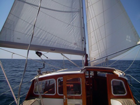 Schmetterling - Segeln Schmetterling - Segeln