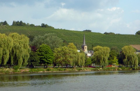 Weinhänge Mosel Luxemburg