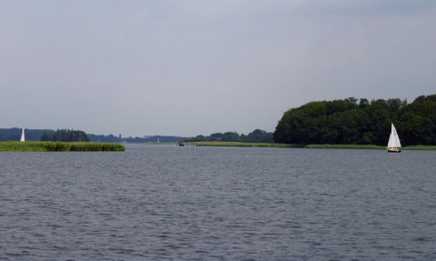 Schlei