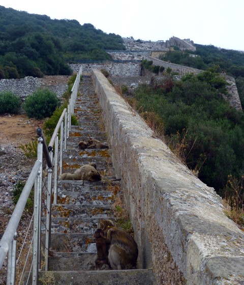 maurische Mauer Gibraltar maurische Mauer Gibraltar