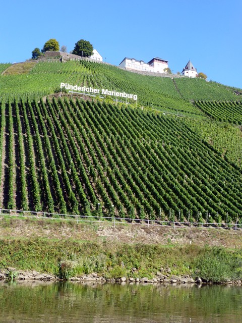 Mosel - Marienburg Mosel - Marienburg