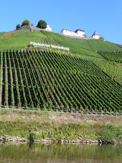 Mosel - Marienburg