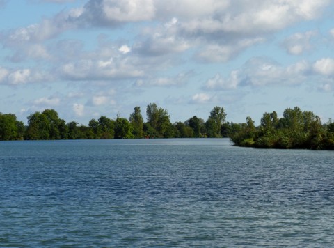Saone Saone
