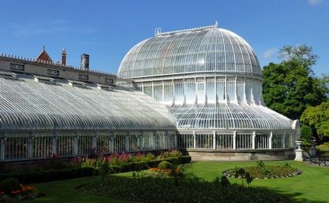 Belfast - Palm House