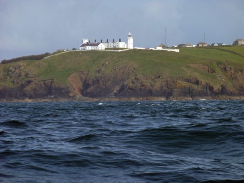 Lizard Point Lizard Point