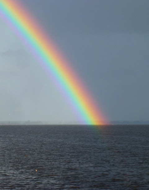 Regenbogen