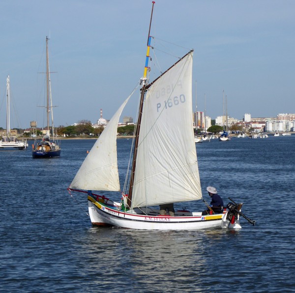 Varino
