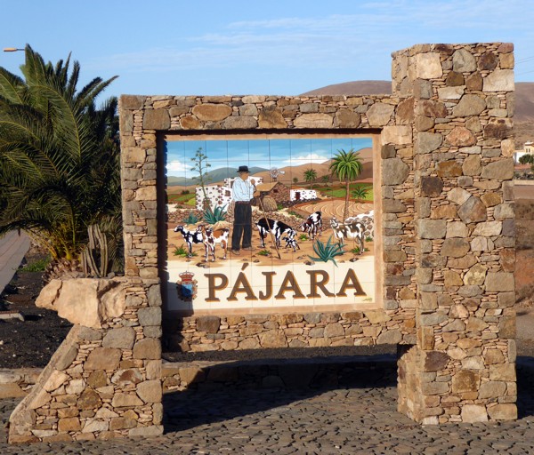 Pajara Pajara