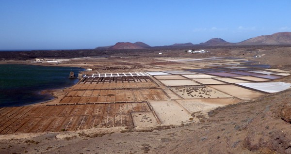 Salinas de Janubio
