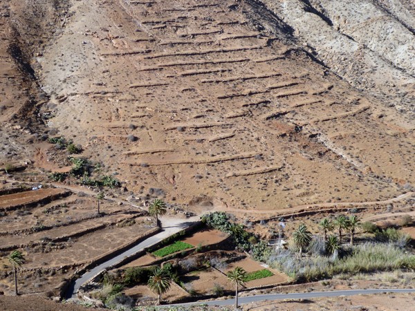 Terrassenfelder Fuerteventura