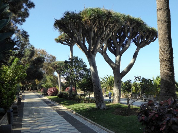 Arucas Stadtpark Stadtpark Arucas
