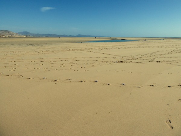 Playa de Sotavento