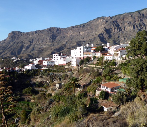 Tejeda Tejeda