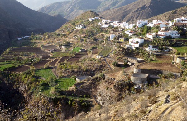Terrassenfelder Tejeda Terrassenfelder Tejeda