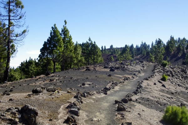Vulkanlandschaft auf La Palma Vulkanlandschaft auf La Palma