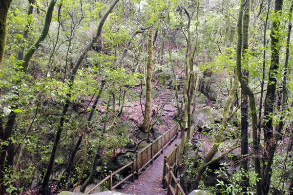 Wandern auf La Palma wandern - La Palma