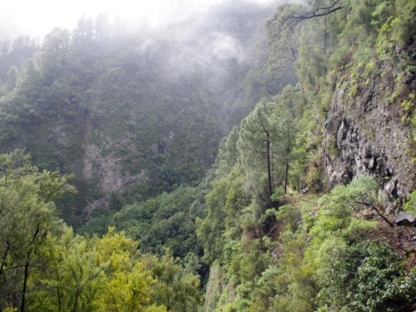 Wanderung auf La Palma Wanderung - La Palma
