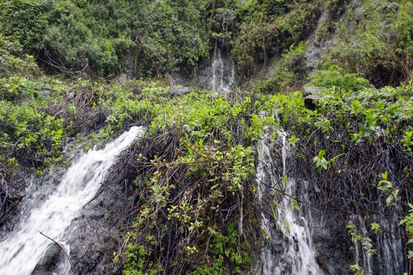 Wasser aus den Bergen Wassser aus den Bergen